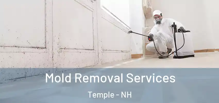 Mold Removal Services Temple - NH
