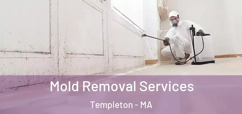Mold Removal Services Templeton - MA