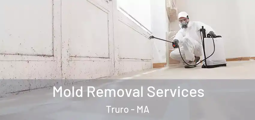  Mold Removal Services Truro - MA