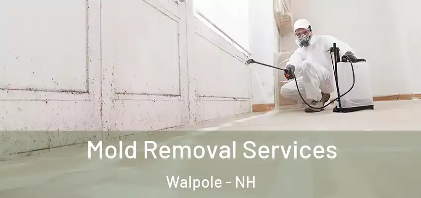 Mold Removal Services Walpole - NH