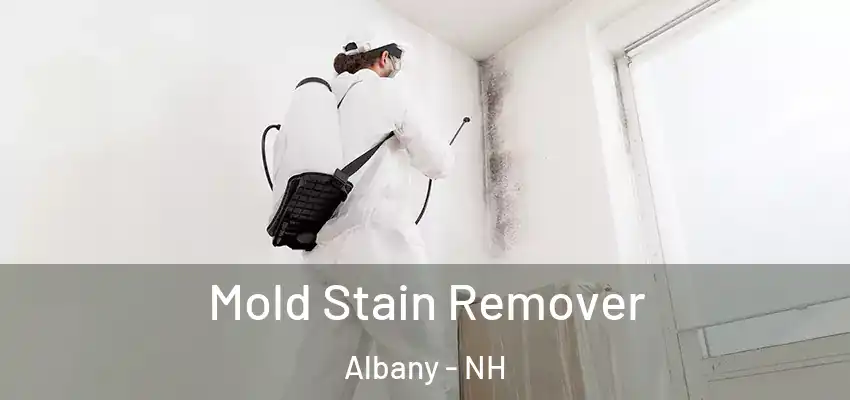  Mold Stain Remover Albany - NH
