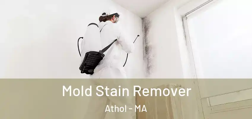  Mold Stain Remover Athol - MA