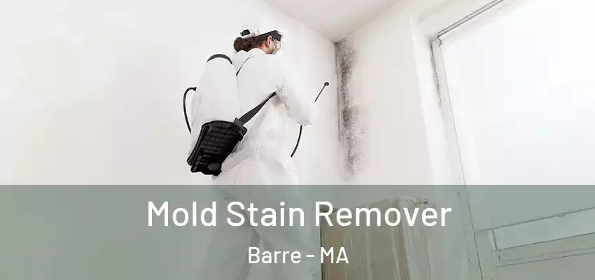  Mold Stain Remover Barre - MA