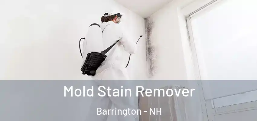 Mold Stain Remover Barrington - NH