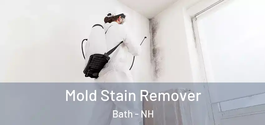 Mold Stain Remover Bath - NH
