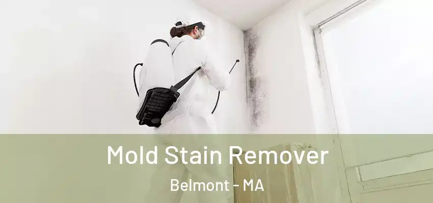  Mold Stain Remover Belmont - MA