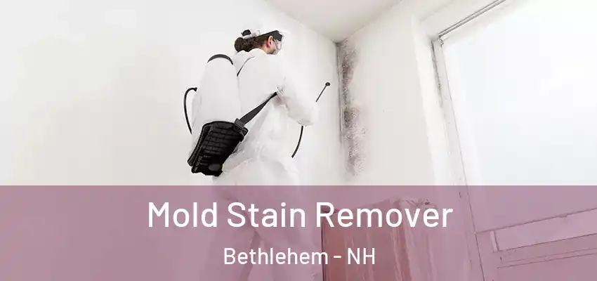 Mold Stain Remover Bethlehem - NH