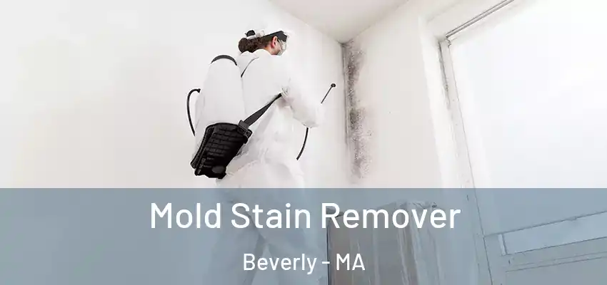 Mold Stain Remover Beverly - MA