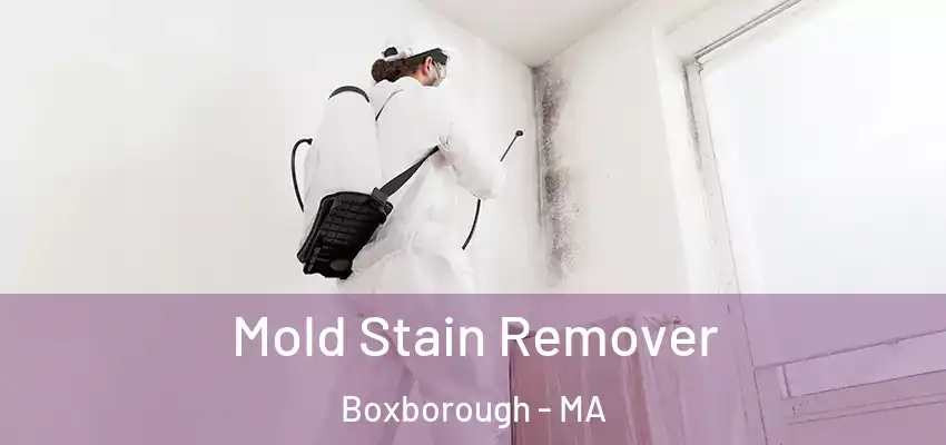  Mold Stain Remover Boxborough - MA