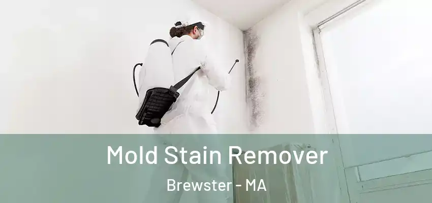 Mold Stain Remover Brewster - MA