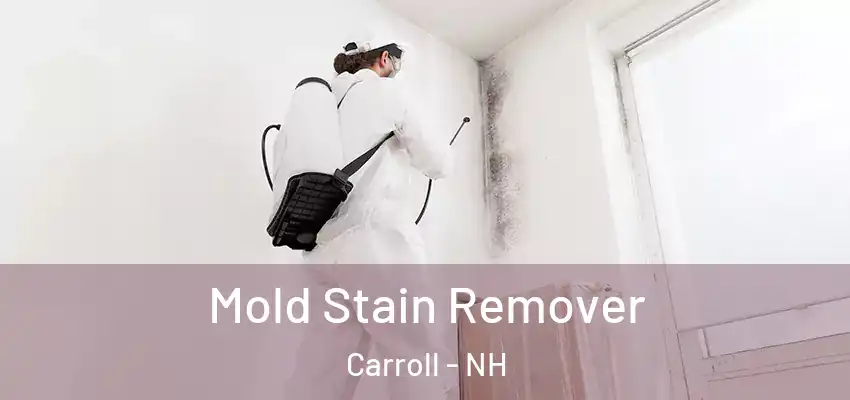  Mold Stain Remover Carroll - NH