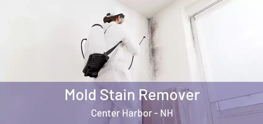 Mold Stain Remover Center Harbor - NH