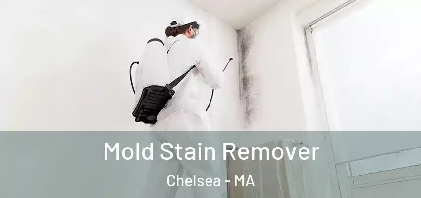  Mold Stain Remover Chelsea - MA