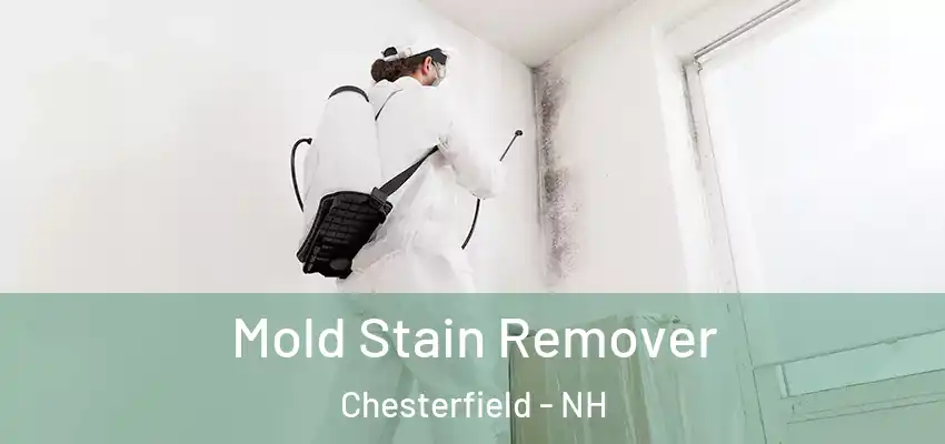  Mold Stain Remover Chesterfield - NH