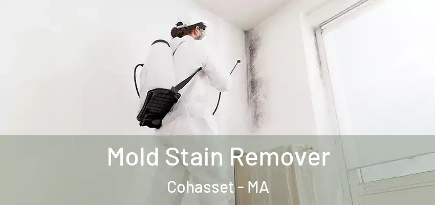 Mold Stain Remover Cohasset - MA