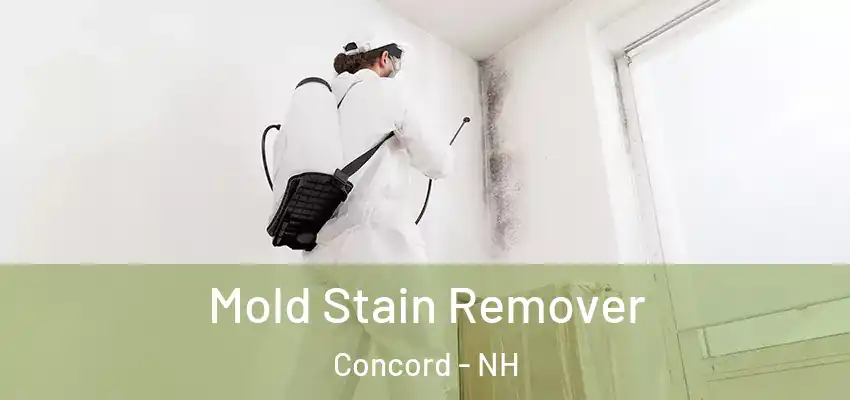  Mold Stain Remover Concord - NH