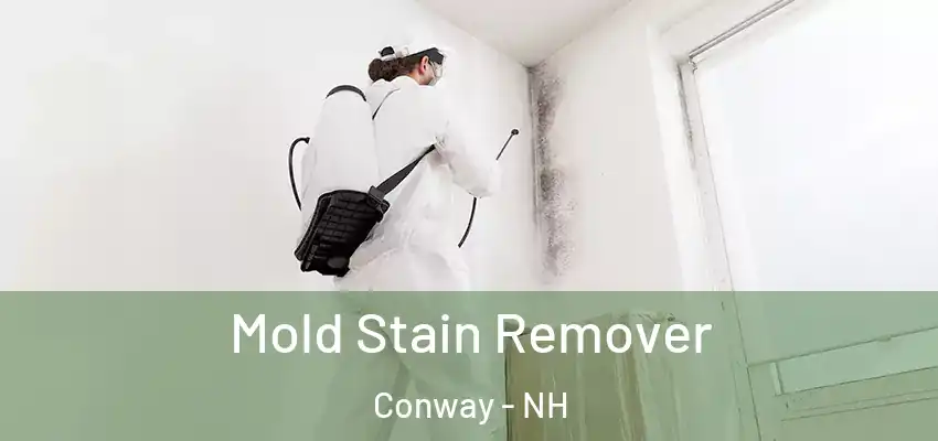  Mold Stain Remover Conway - NH