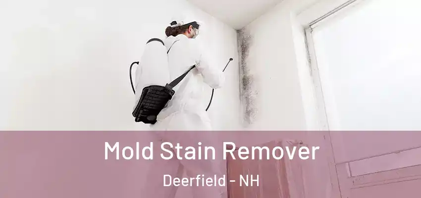  Mold Stain Remover Deerfield - NH