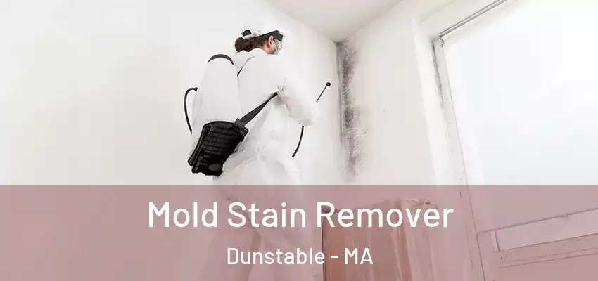 Mold Stain Remover Dunstable - MA