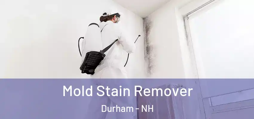 Mold Stain Remover Durham - NH
