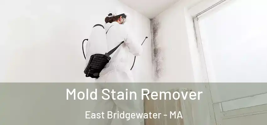  Mold Stain Remover East Bridgewater - MA