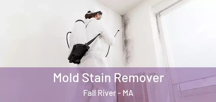 Mold Stain Remover Fall River - MA