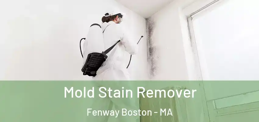 Mold Stain Remover Fenway Boston - MA