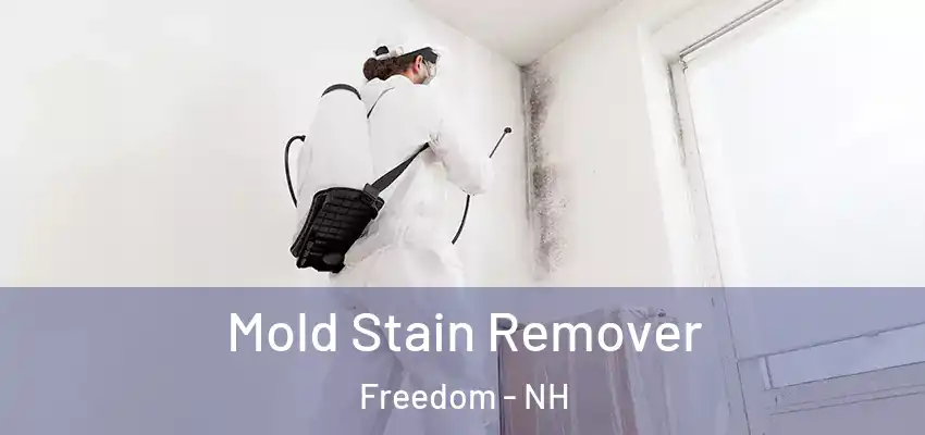 Mold Stain Remover Freedom - NH
