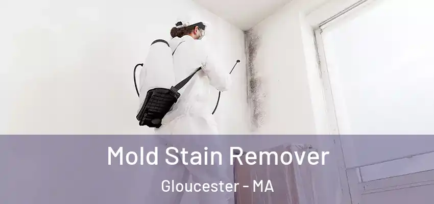 Mold Stain Remover Gloucester - MA