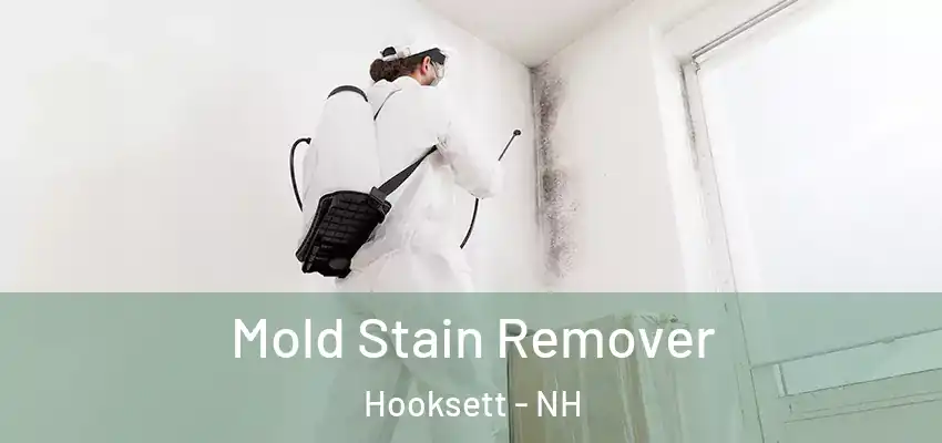  Mold Stain Remover Hooksett - NH