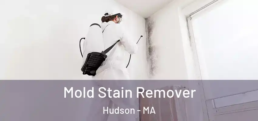 Mold Stain Remover Hudson - MA