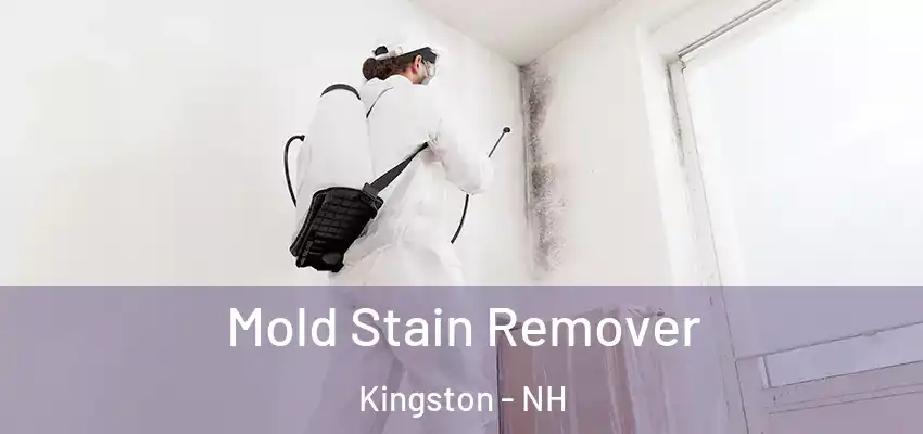 Mold Stain Remover Kingston - NH