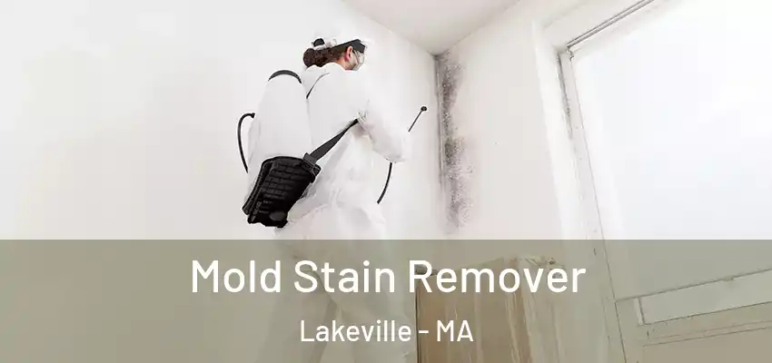  Mold Stain Remover Lakeville - MA