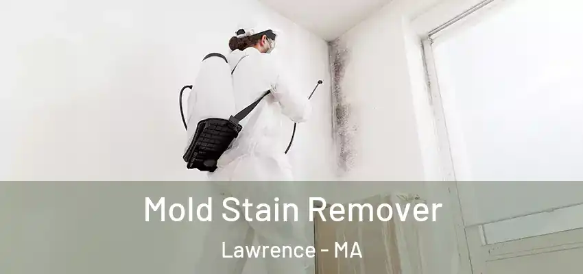 Mold Stain Remover Lawrence - MA