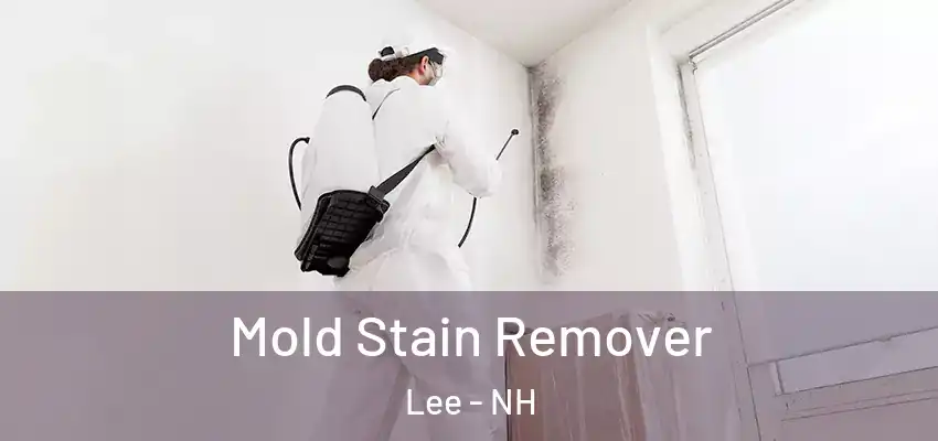 Mold Stain Remover Lee - NH