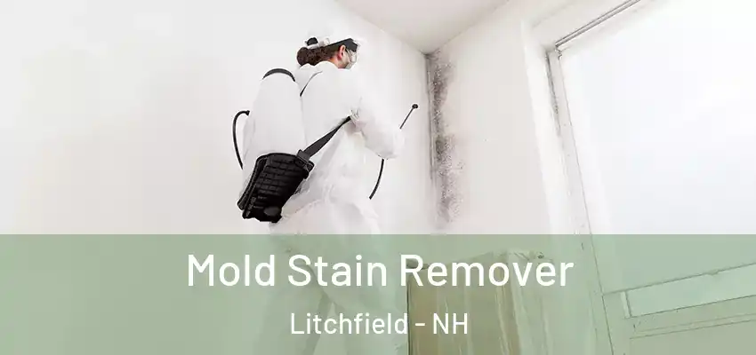  Mold Stain Remover Litchfield - NH