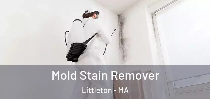  Mold Stain Remover Littleton - MA