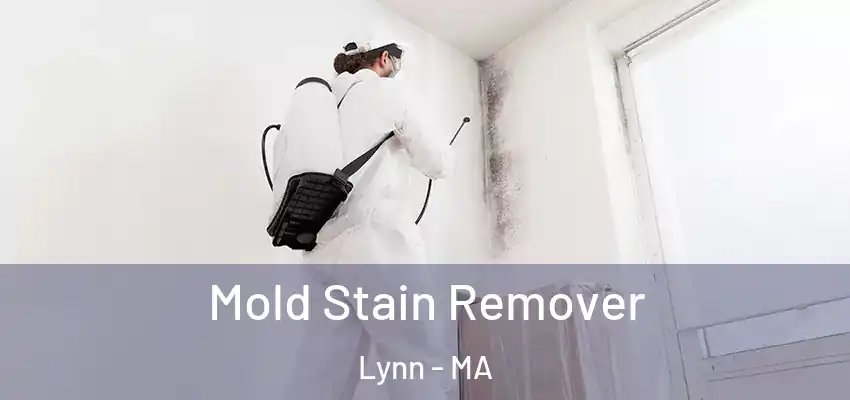 Mold Stain Remover Lynn - MA