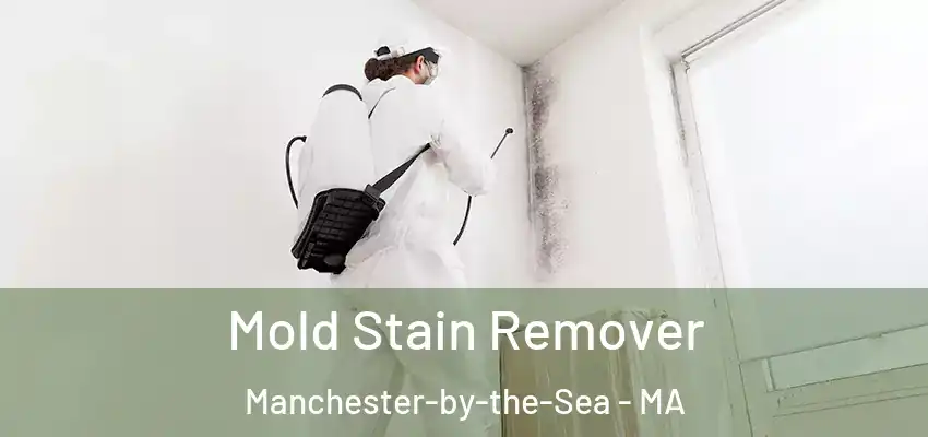 Mold Stain Remover Manchester-by-the-Sea - MA