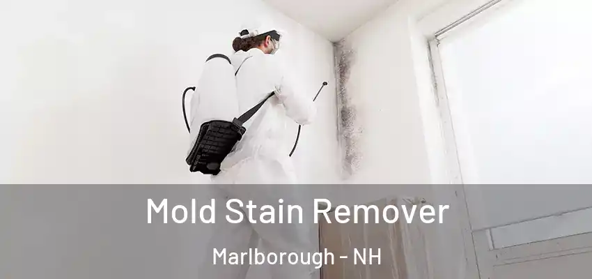 Mold Stain Remover Marlborough - NH