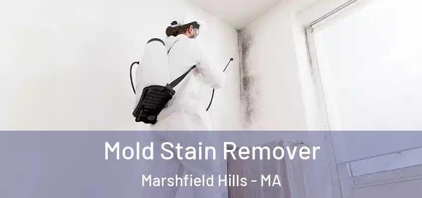  Mold Stain Remover Marshfield Hills - MA