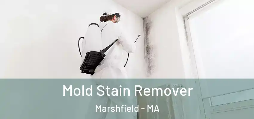 Mold Stain Remover Marshfield - MA