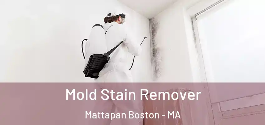  Mold Stain Remover Mattapan Boston - MA