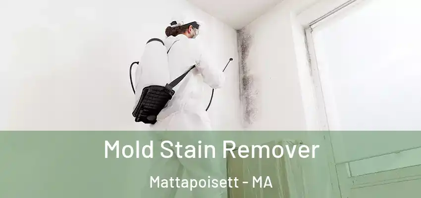  Mold Stain Remover Mattapoisett - MA