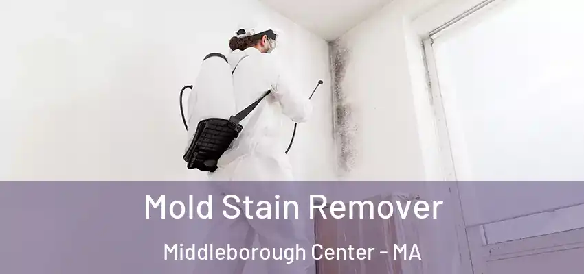 Mold Stain Remover Middleborough Center - MA