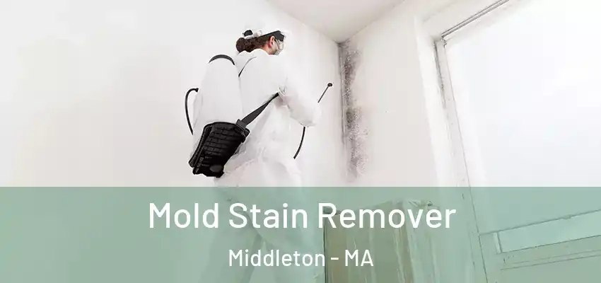 Mold Stain Remover Middleton - MA