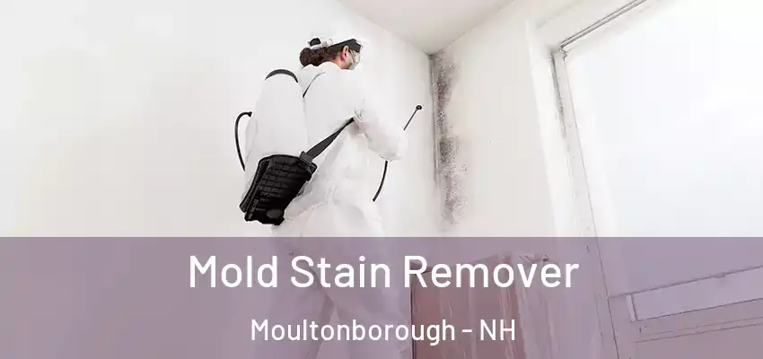 Mold Stain Remover Moultonborough - NH