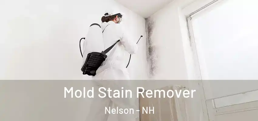 Mold Stain Remover Nelson - NH