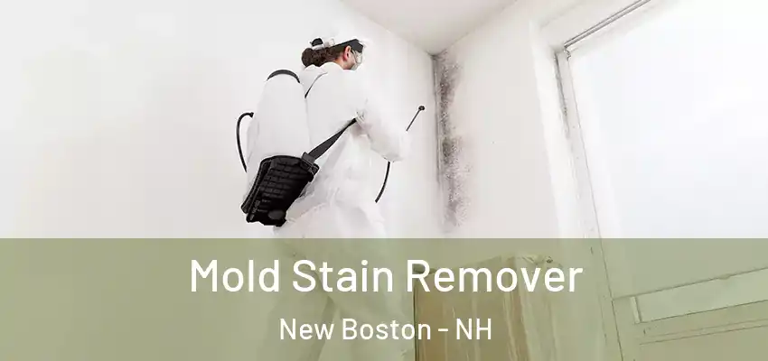  Mold Stain Remover New Boston - NH