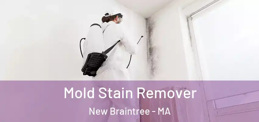 Mold Stain Remover New Braintree - MA